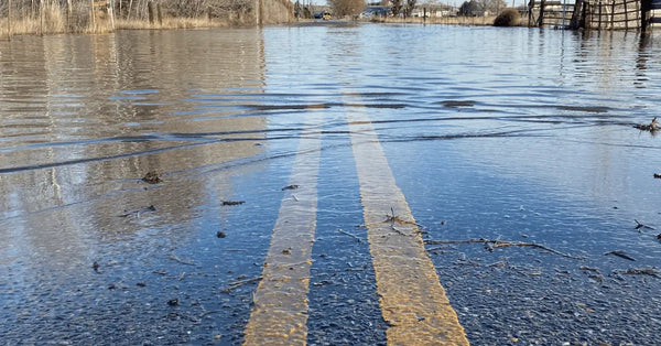 NY & NJ Flood
