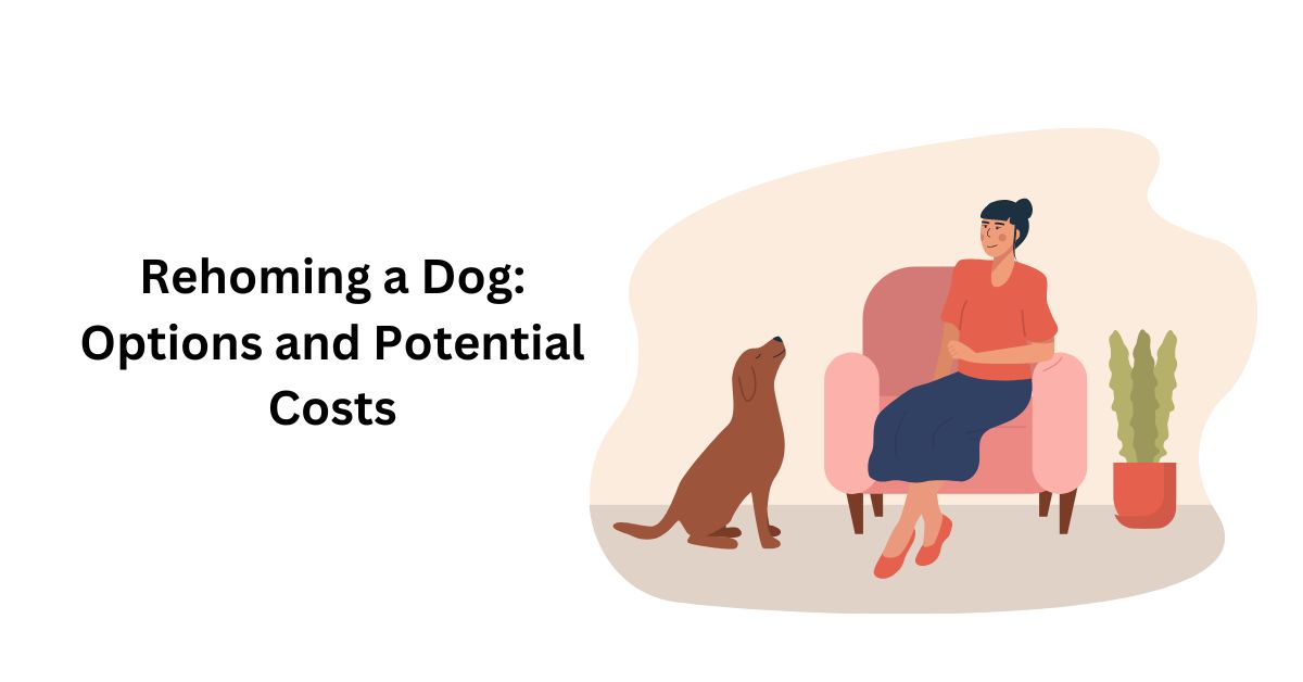 Rehoming A Dog: Options And Potential Costs 