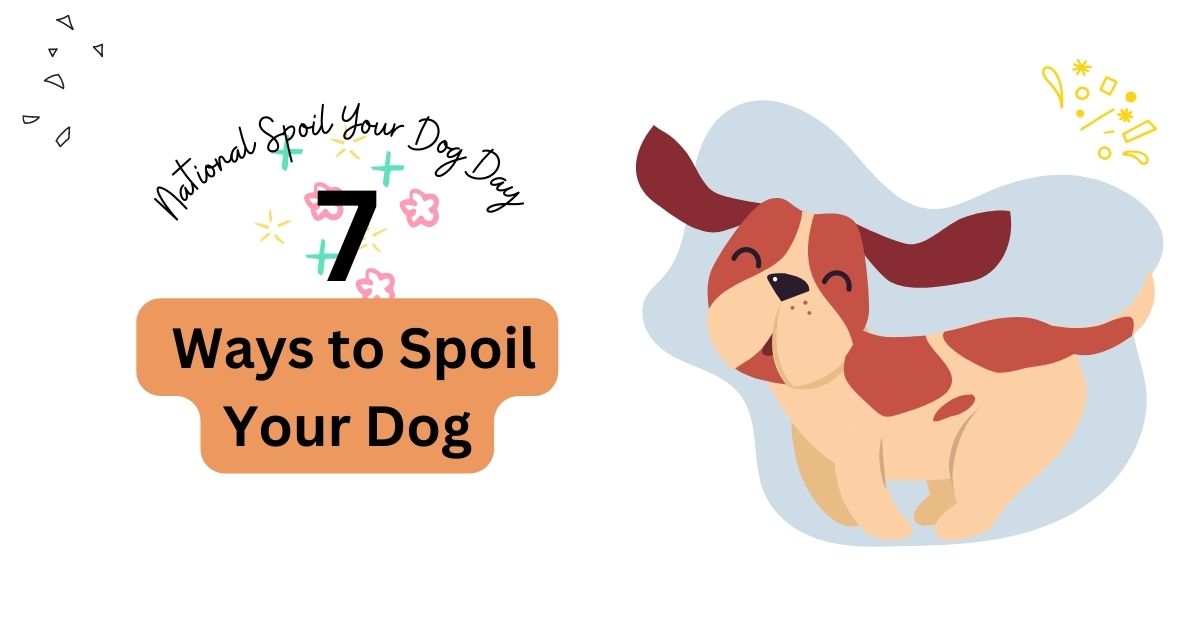National Spoil Your Dog Day 2023 7 Ways to Spoil Your Dog Waggle
