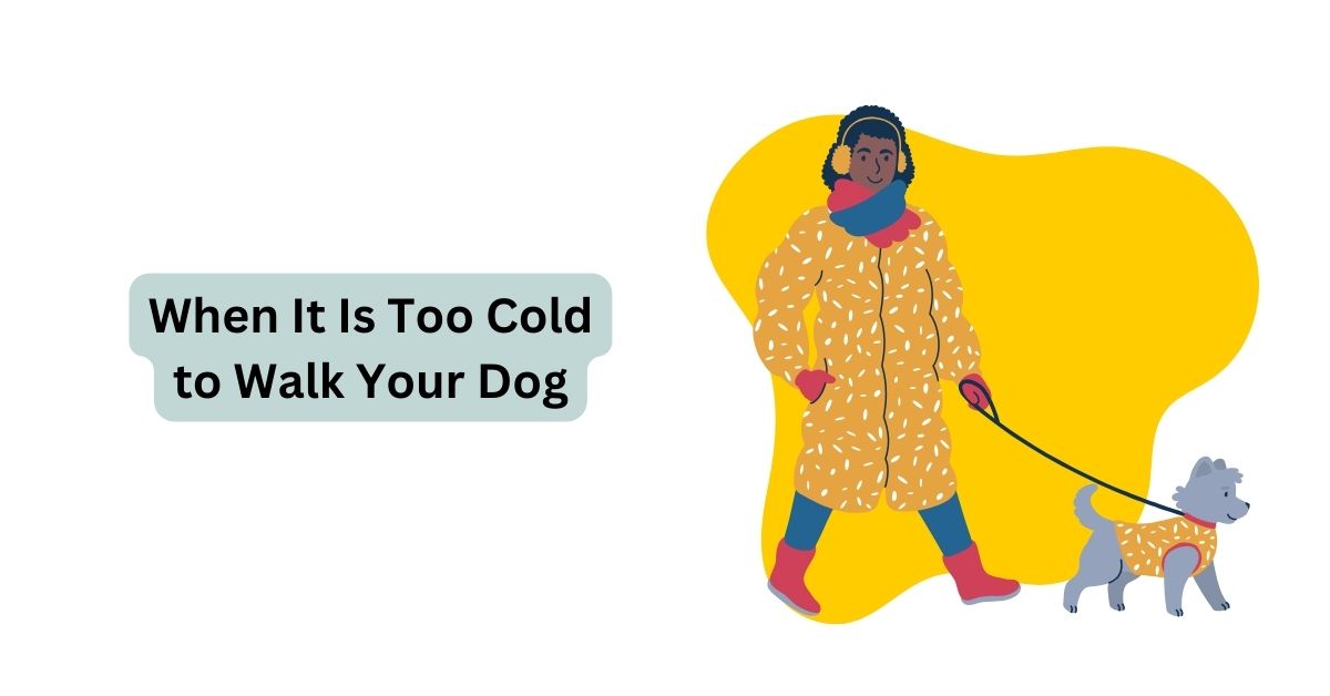 When It Is Too Cold to Walk Your Dog? Waggle®