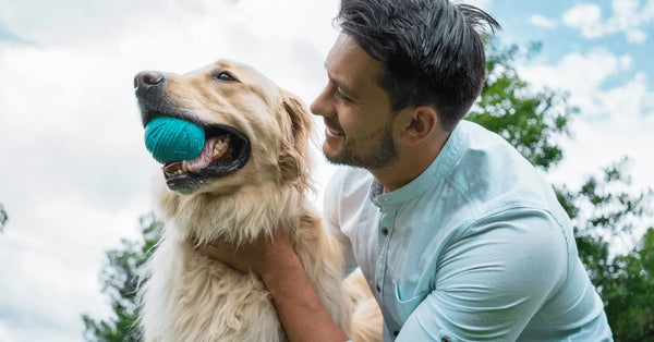 fridenship with your pets 
