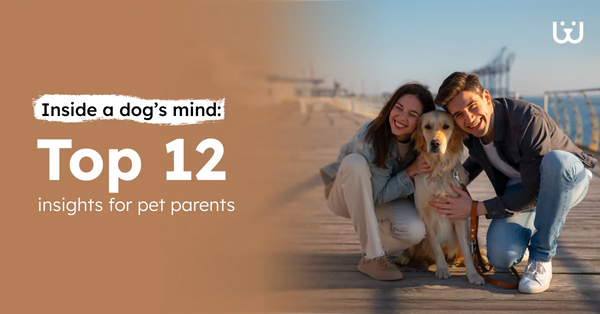 Inside a Dog’s Mind: Top 12 Insights for Pet Parents