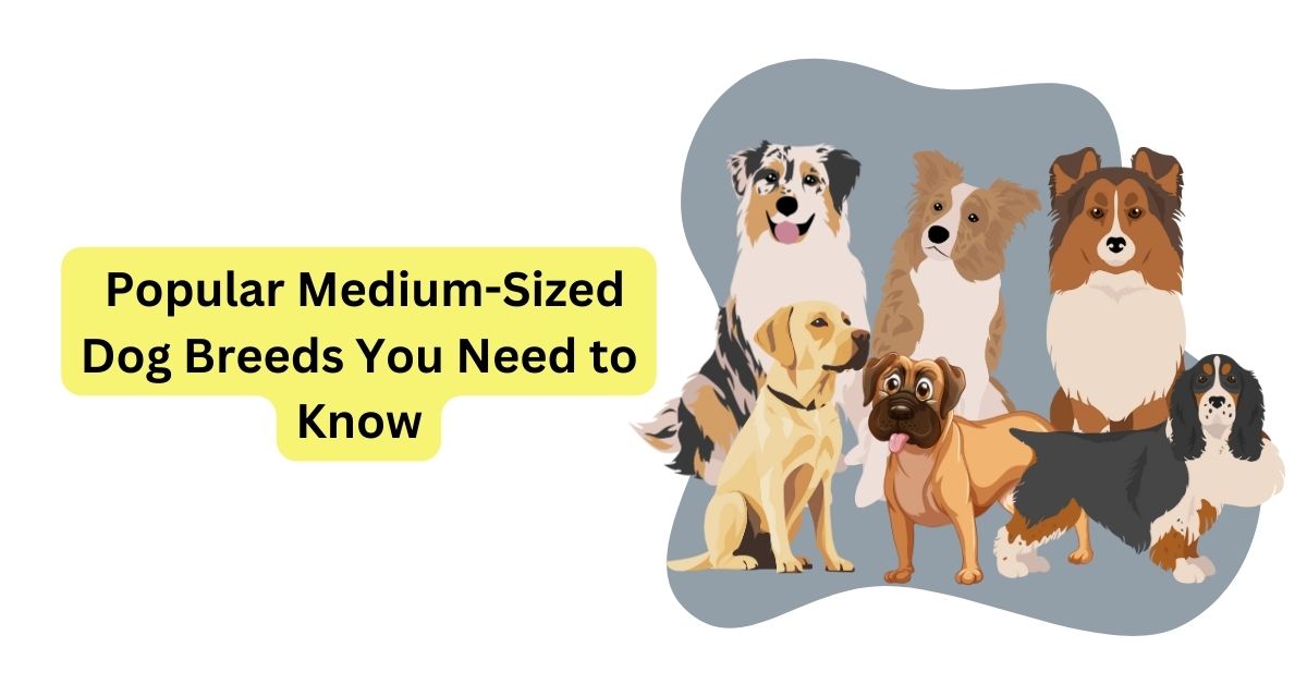 8 Popular Medium-Sized Dog Breeds You Need to Know | Waggle