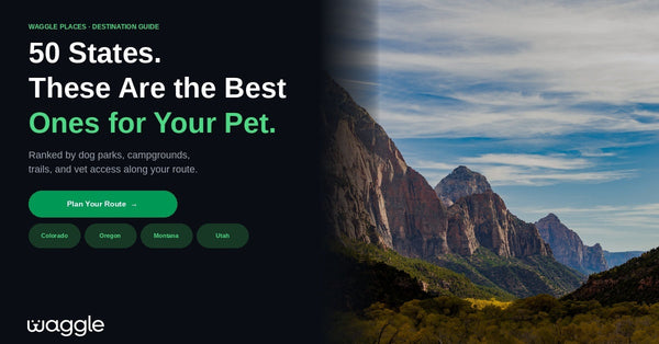The best us states for pet friendly travel