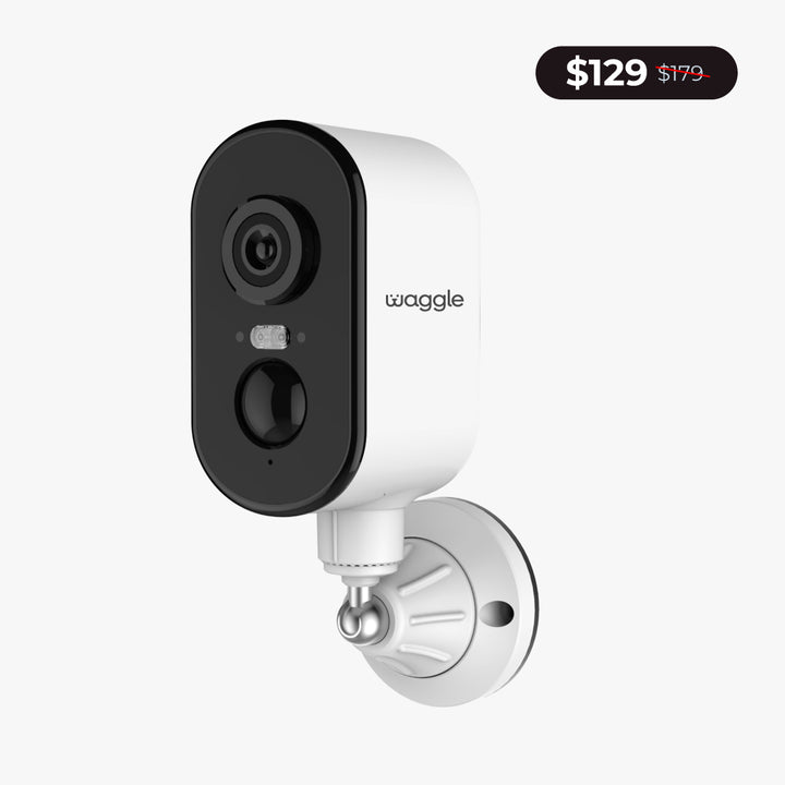 Waggle Pet Cameras
