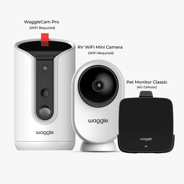 Home and Roam Bundle