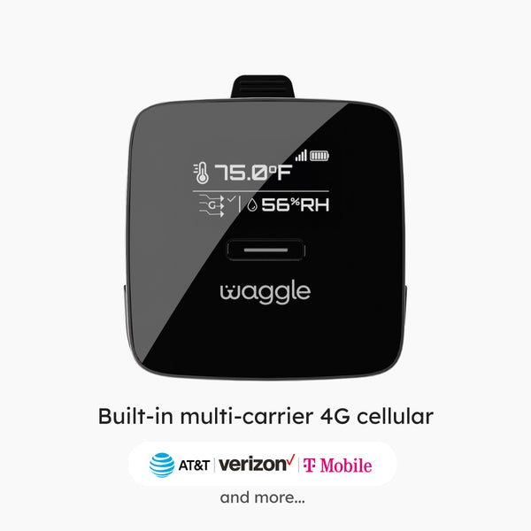 Waggle Pet Monitor for Horse