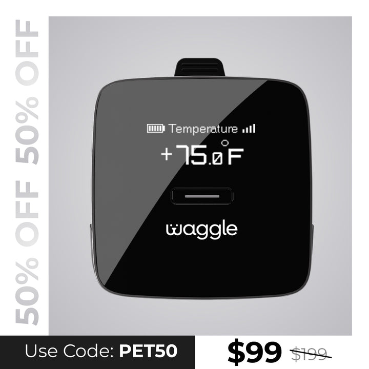 Waggle Pet Monitor