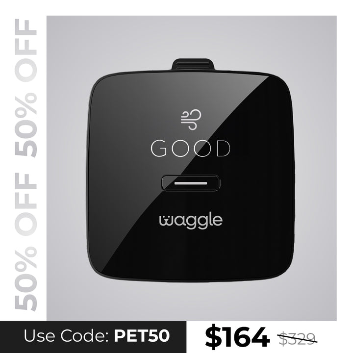 Waggle Pet Monitor