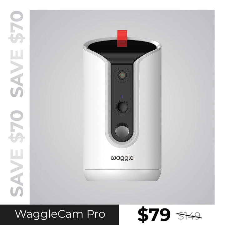 Waggle Pet Camera