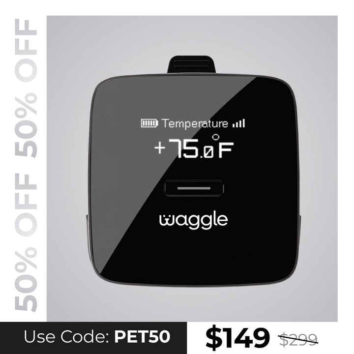 Waggle Pet Monitor