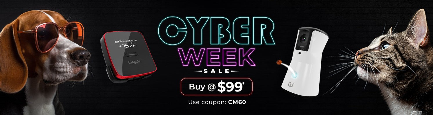 Cyber-Week-sale-banner-desktop