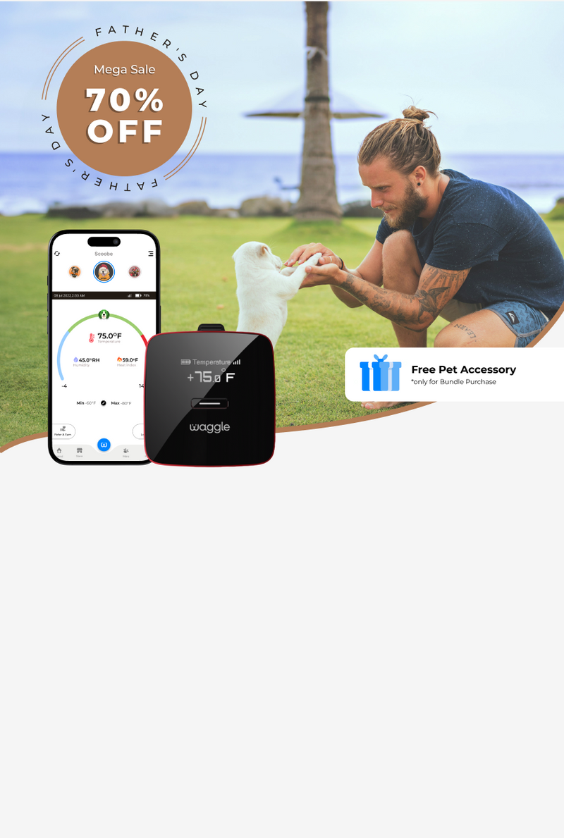 Pet Monitor Bundle Waggle