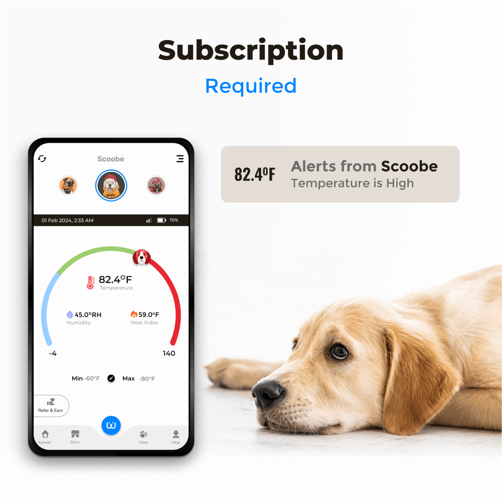 Waggle Pet Monitor | Temperature Monitoring System for RV