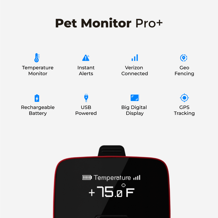 Waggle Pet Monitor Bundle