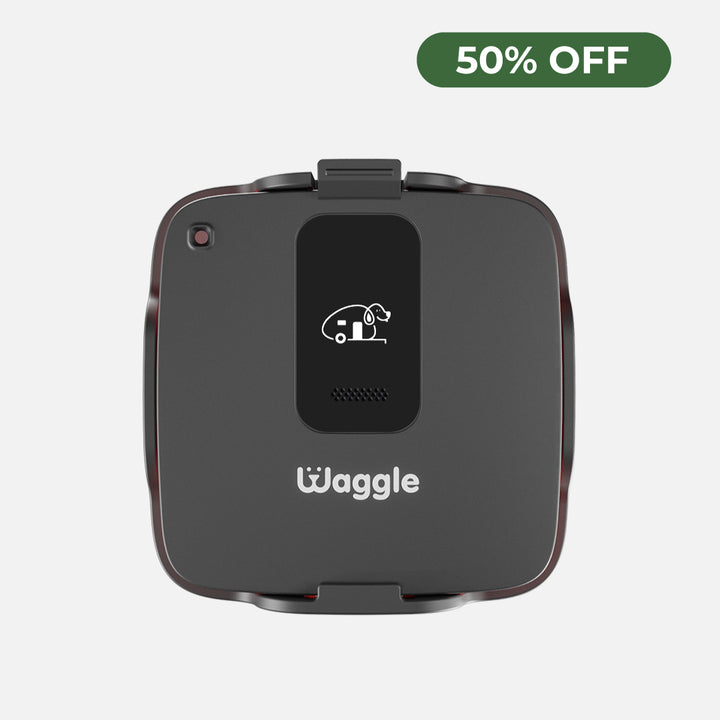 Waggle Pet Safety Monitor