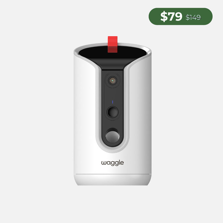Waggle Pet Cameras