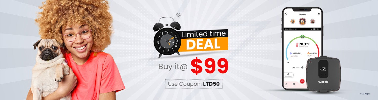 Limited time Deal - Desktop Banner 