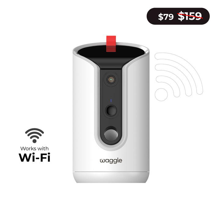 Waggle Pet Cameras