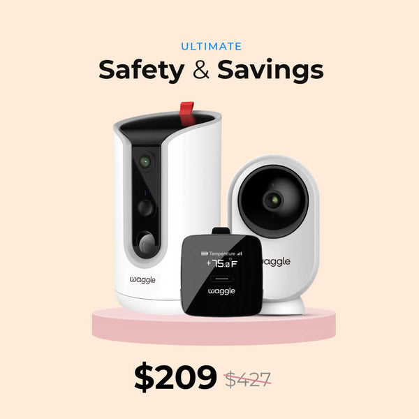 Pet Monitor Pro+ WaggleCam Pro + RV Cam AI Mini 64GB