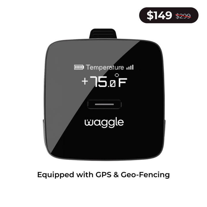 Waggle Pet Monitor