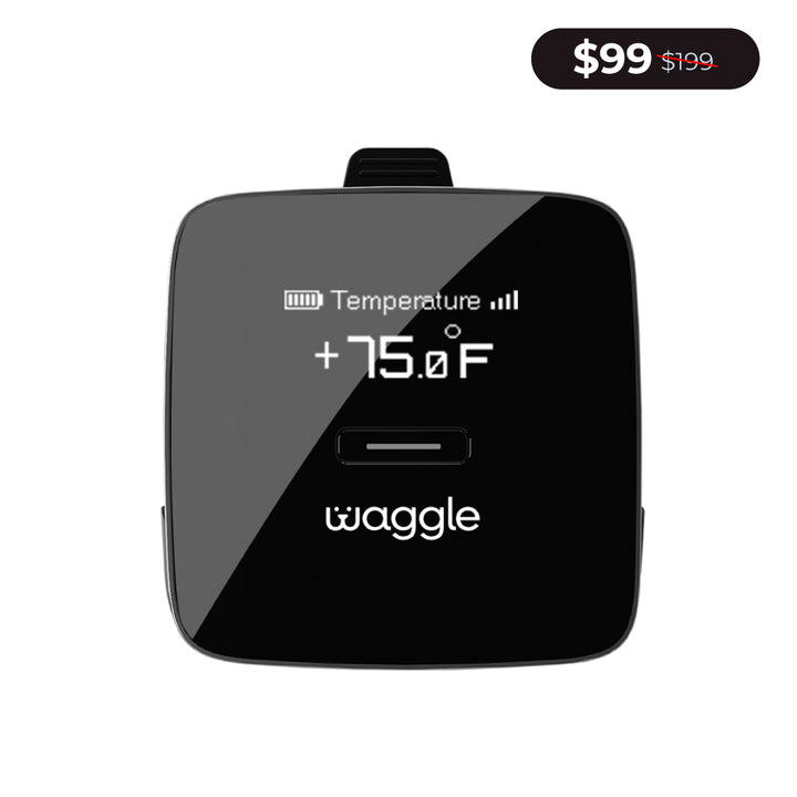 Waggle Pet Monitor