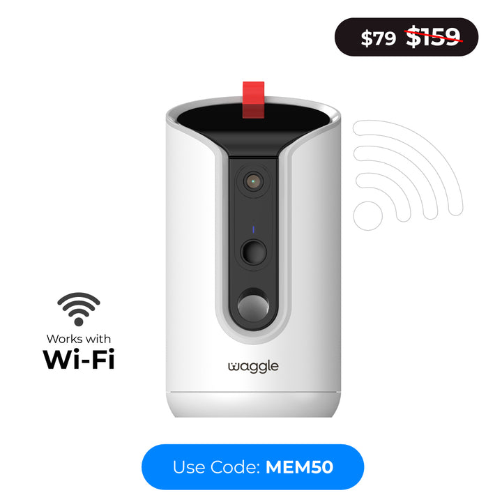 Waggle Pet Cameras