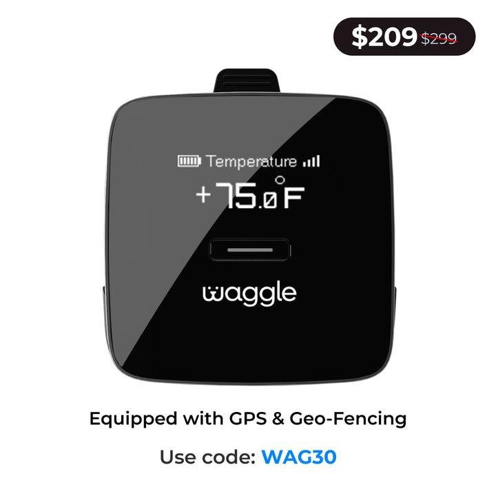 Waggle Pet Monitor
