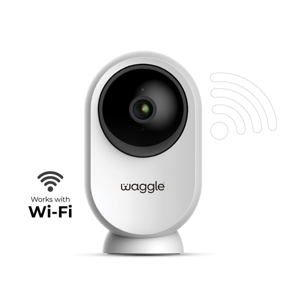 Waggle RV Cam AI Mini