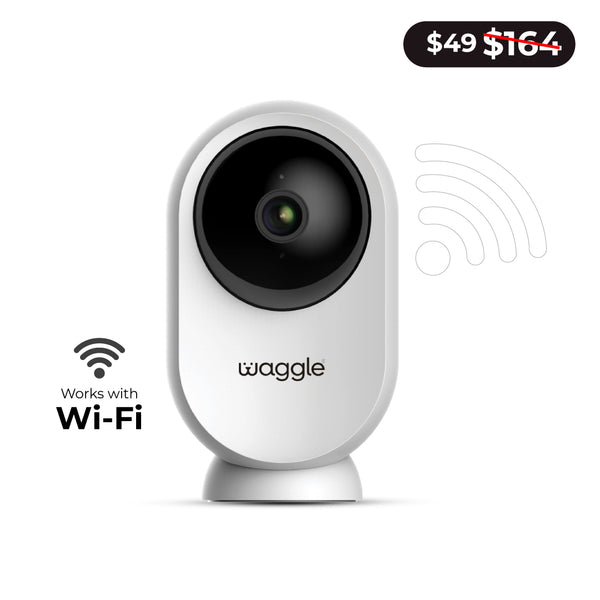Model_RV Cam AI Mini