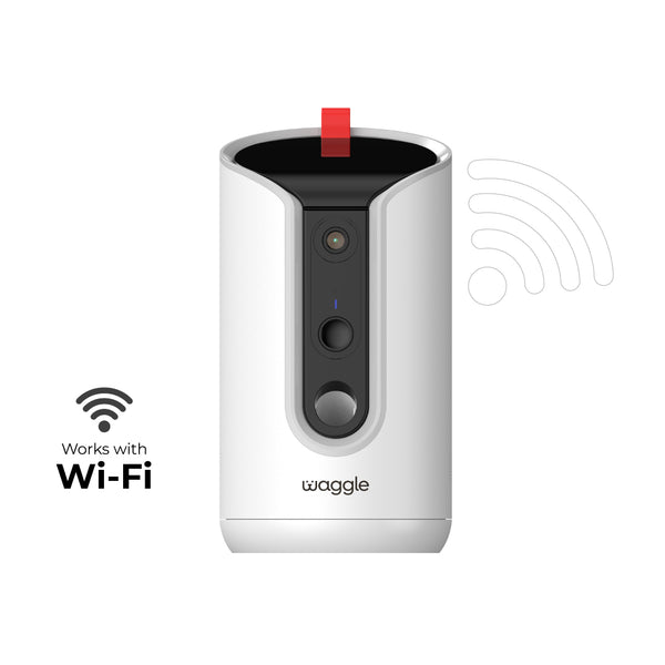 WaggleCam Pro