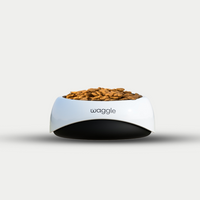 Waggle Smart AI Bowl
