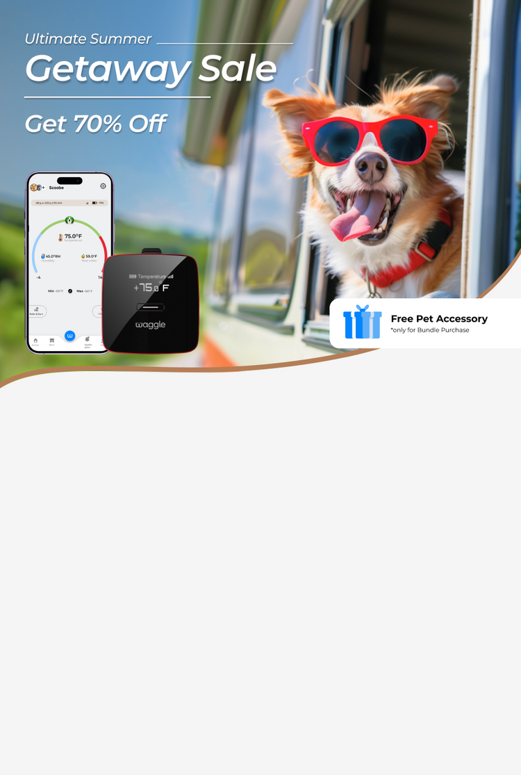 Pet Monitor Bundle Waggle