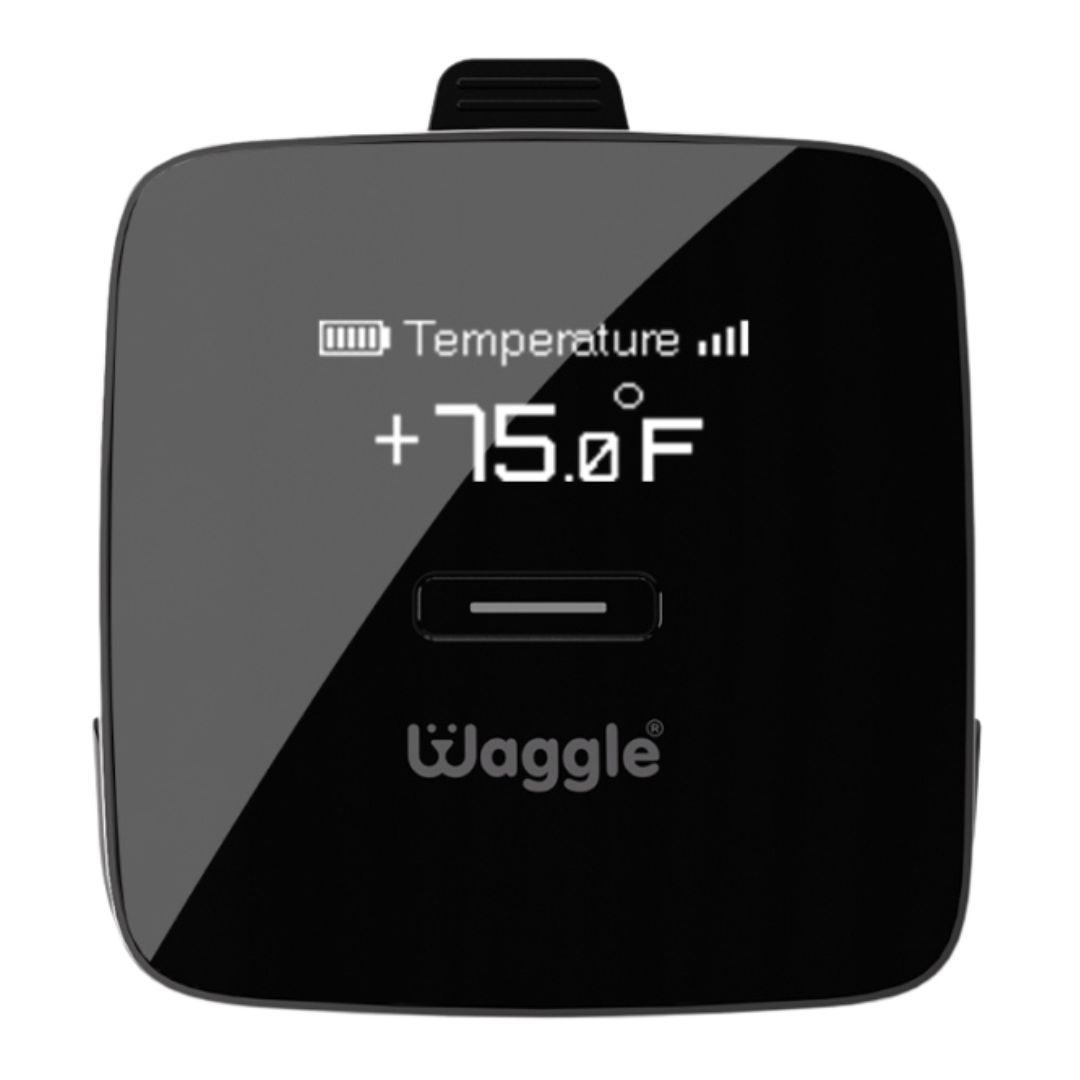 tempCube Pro + Wifi Remote Wireless Temperature Sensor I No Subscription I  Digital Display I Fast WiFi (2.4 and 5GHz WiFi)