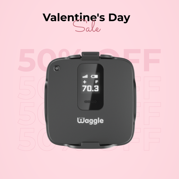 Waggle Pet Safety Monitor