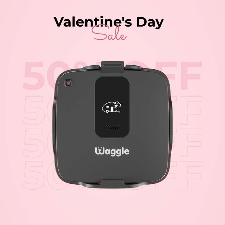 Waggle Pet Safety Monitor