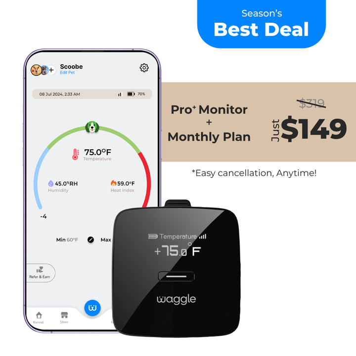Waggle Pet Monitor + Monthly Plan