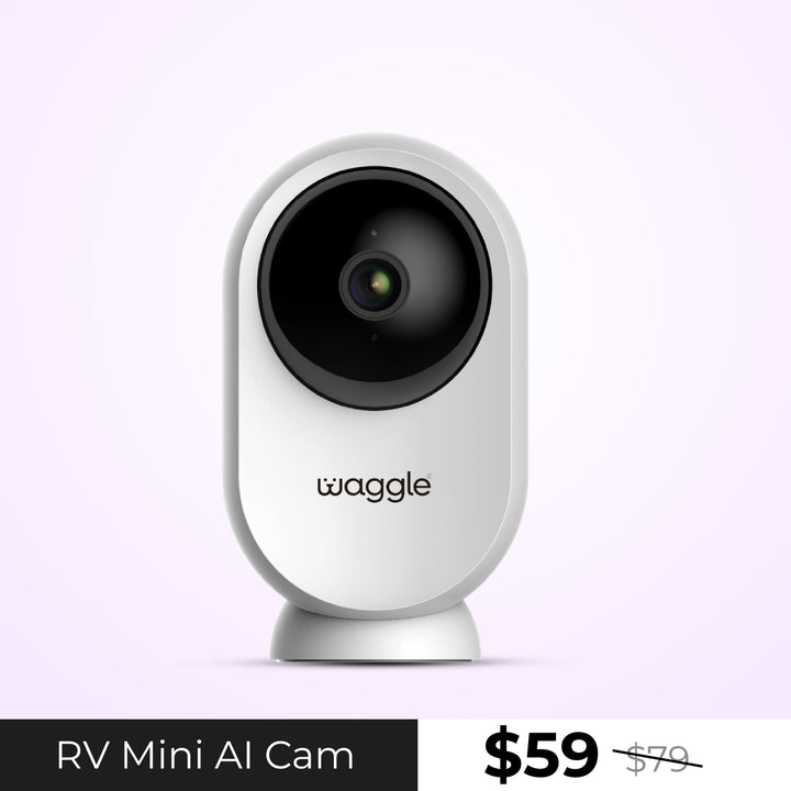 Waggle Pet Camera