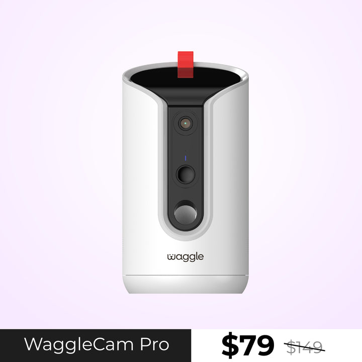 Waggle Pet Camera