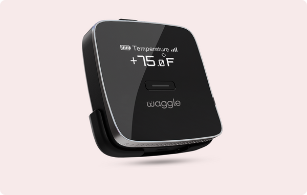 Buy Waggle Pet Monitor