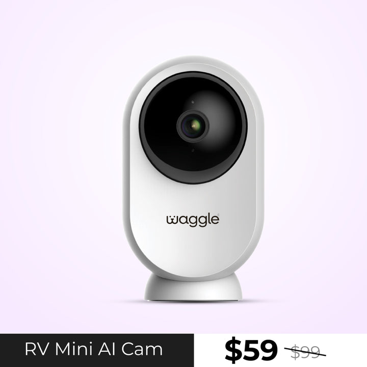 Waggle Pet Camera