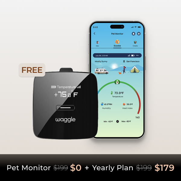 Waggle Pet Monitor Lite + Yearly Plan