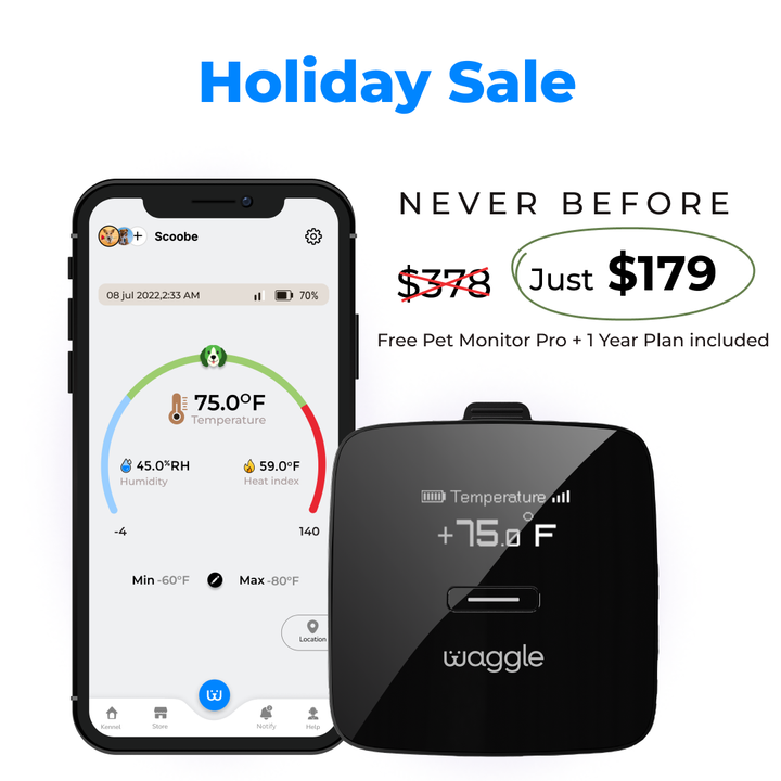 Waggle RV/Pet Temperature Monitor