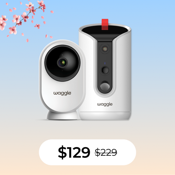 Size_RV Mini AI Cam 64GB + WaggleCam Pro