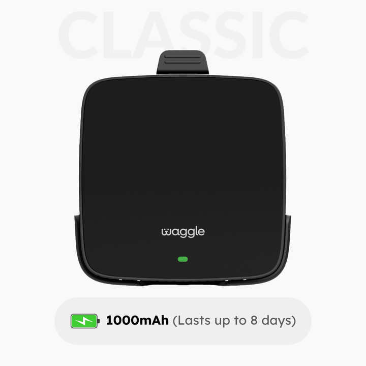 Waggle Pet Monitor