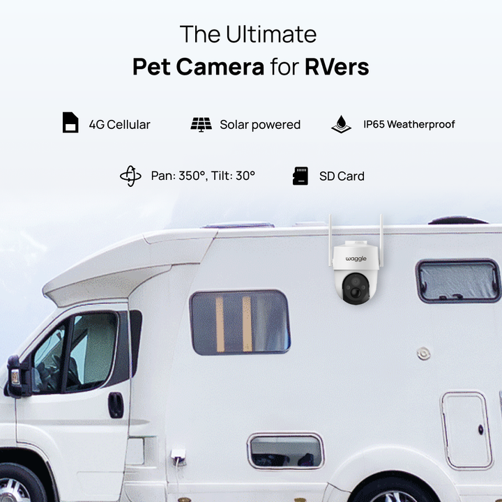 Paws & Go - Lite+ Bundle