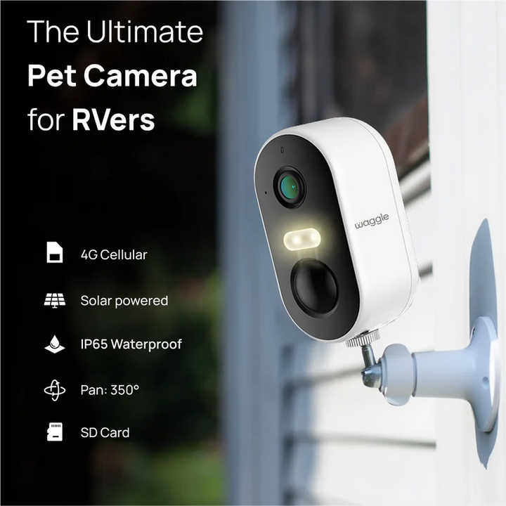 RV 4G Mini Camera - Halloween