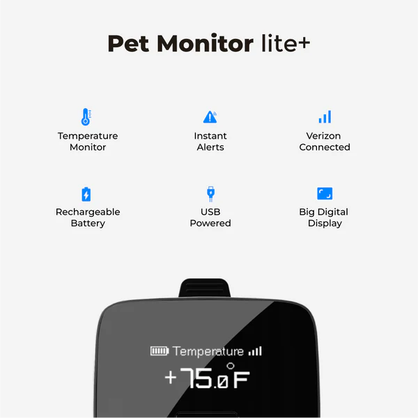 Waggle Pet Monitor and RV Cam AI Mini 64GB