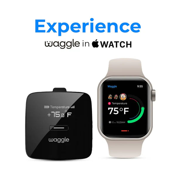 Waggle Pet Monitor and RV Cam AI Mini 64GB