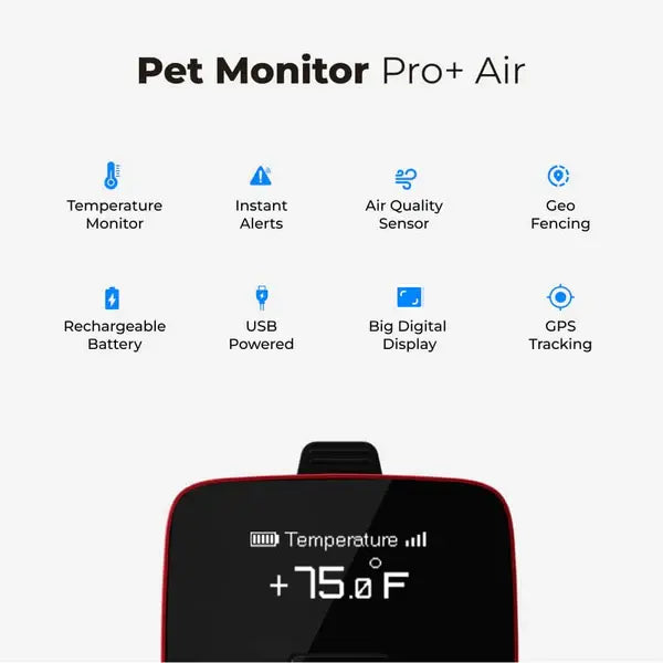 Waggle Pet Monitor Bundle